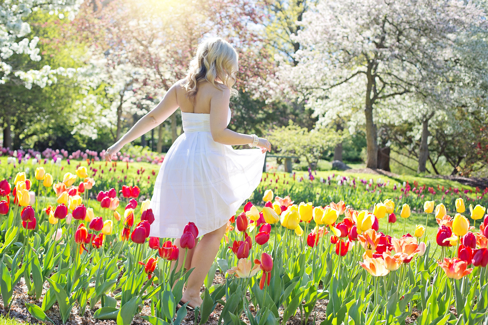 Woman in a Field of Flowers