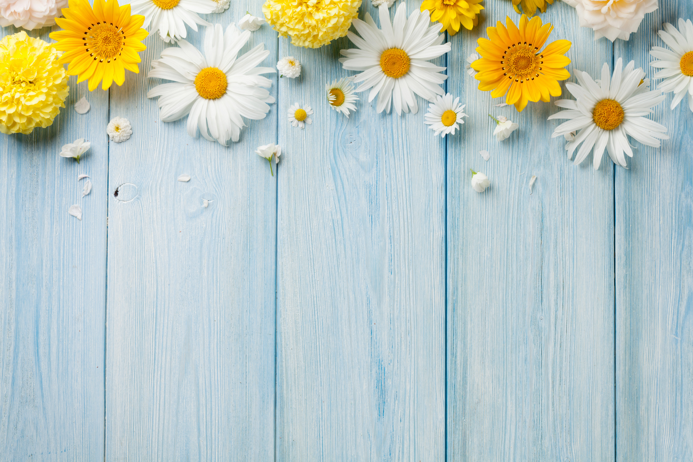 Garden Flowers over Wood